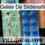 Gelée De Sildénafil new02